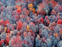 -罗红摄影艺术馆