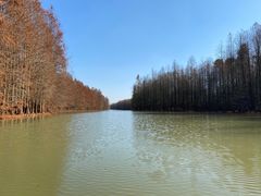 -上海海湾国家森林公园