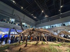 -自贡恐龙博物馆