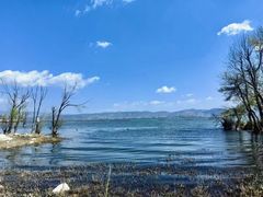 -洱海月湿地公园