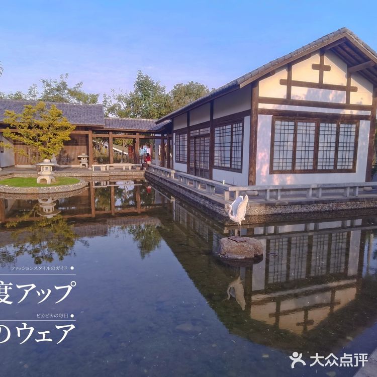 🌷园博苑•荷兰园郁金香•异域风情🌷