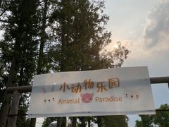 -前小桔亲子创意农场·草莓采摘·露营烧烤