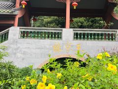 -广州神农草堂中医药博物馆