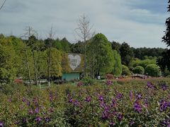 -铁山坪森林公园