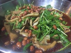 -石岐乳鸽村(南海第三分店)