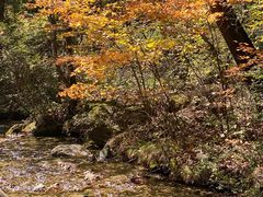 -玉渡山自然风景区