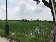 -嘉北郊野公园