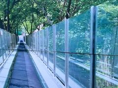 -嵖岈山风景区
