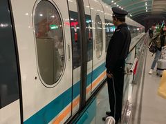 -龙阳路磁悬浮列车总站-停车场