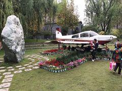 -成飞公园