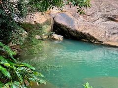 -广州白江湖森林公园