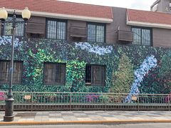 -岳阳道小学(大理道校区)