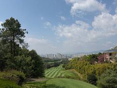 -阳光高尔夫俱乐部