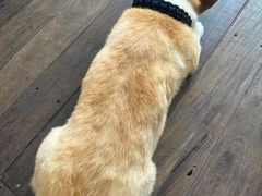 -肥朵食堂(带梦胡同店)