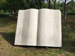 -太阳宫公园