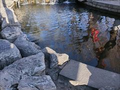 -济南大明湖景区