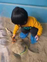 点击看大图 -恐龙探索乐园(磁器口店)