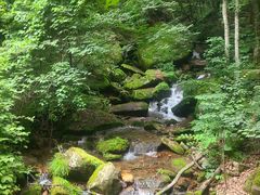 -五女峰国家森林公园