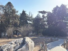 -国家植物园南园