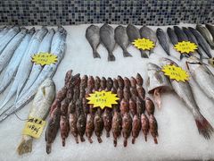 -阿新海鲜加工坊(芦潮港总店)