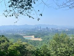 -大奇山国家森林公园