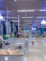 -小象动悟公园(龙湖亦庄天街店)