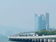 -演武大桥观景平台