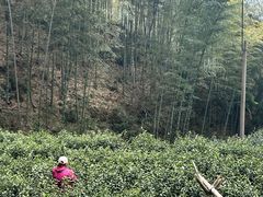 -仙霞关景区