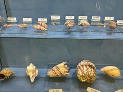 -浙江自然博物院(杭州馆)