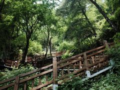 -陕西省红河谷森林公园