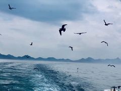 -海驴岛(荣成市)