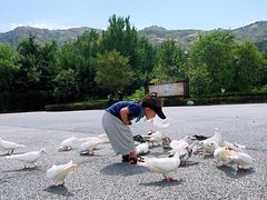 -青岛森林野生动物世界