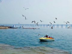 -星海湾跨海大桥