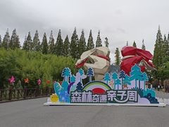 -黄海国家森林公园