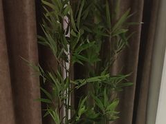 -君之悦·明镜台·SPA古禅足道(解放碑店)