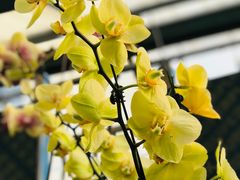 -石家庄市植物园