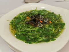 -山泉公馆酒家(珠江新城店)