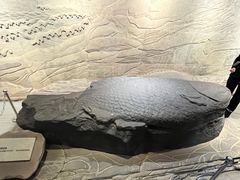 -白鹤梁水下博物馆