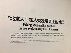-北京周口店北京人遗址博物馆