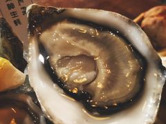 -斯普汇生蚝牛排馆(中骏世界城店)