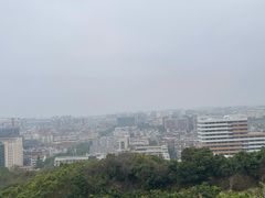 -仙岳公园