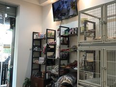 -1013 PET SHOP精品宠物商店(丁香店)