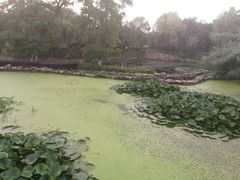 -白马涧龙池景区
