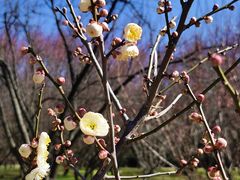 -蜀冈西峰生态公园