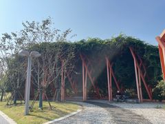-澹台湖公园