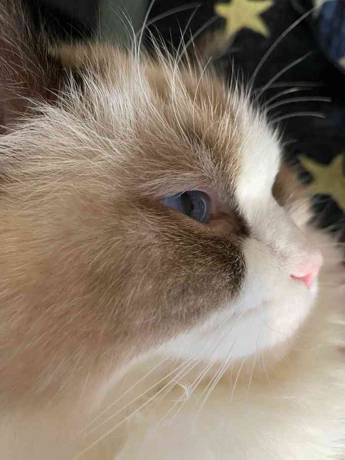 【项目】洗澡 | 美容第二次来啦小姐姐-大众点评