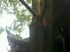 android_upload_pic-石经寺