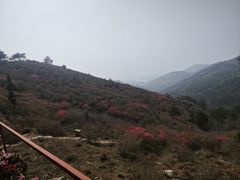 -木兰云雾山