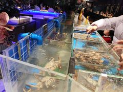 -加餐海鲜自助(宝龙一城店)