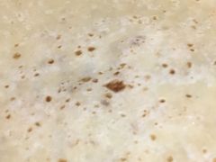 -香满园春饼·家常菜(东大桥店)